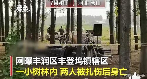 最新唐山爆料案件视频,真相揭露，正义终将到来